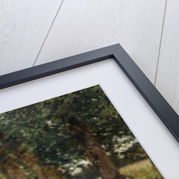 The Fortune Teller, 1878 by Adrien Moreau