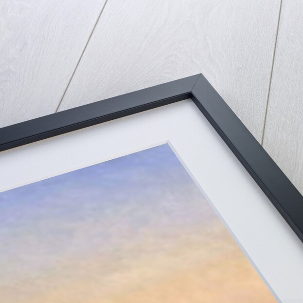 Il Bacino, Venice by Henri Duvieux