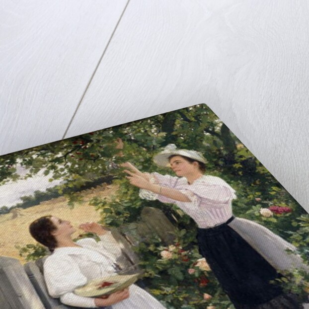 The Cherry Pickers, 1894 by Hermann Seeger