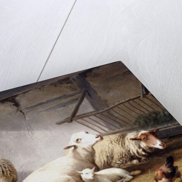 Sheep, Rabbits and a Chicken in a Barn, 1859 by Eugene Joseph Verboeckhoven