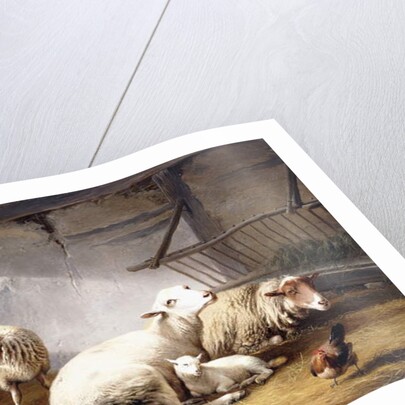Sheep, Rabbits and a Chicken in a Barn, 1859 by Eugene Joseph Verboeckhoven