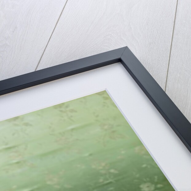 A New Pair of Shoes by Vittorio Reggianini