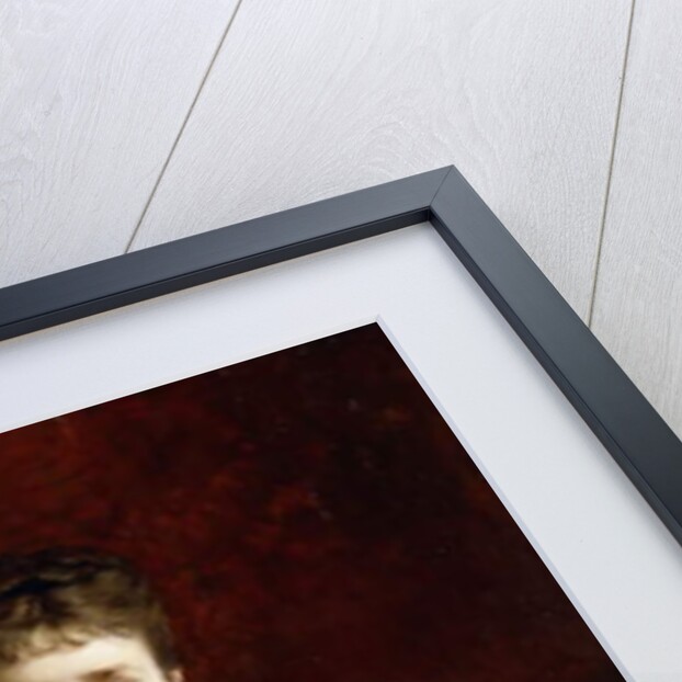 Portrait of a Lady, 1877 by Henriette Browne