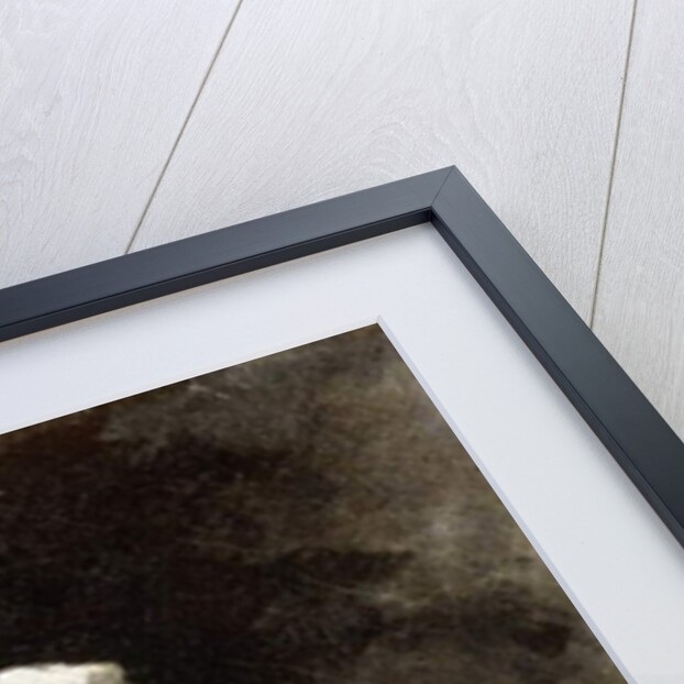 The Cook and the Cat by Auguste Theodule Ribot