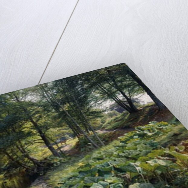 A Wooded River Landscape with Deer Beyond, 1904 by Peder Monsted