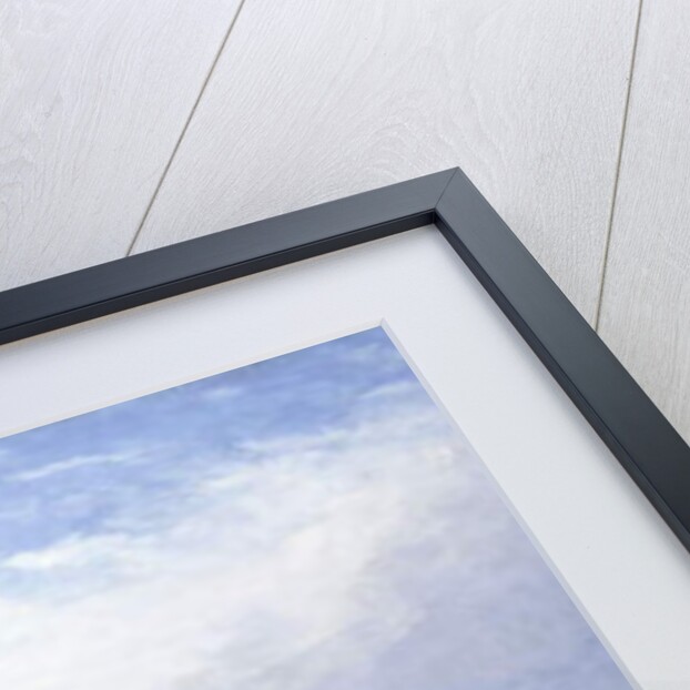 La Corne d'Or, Constantinople by Felix Ziem