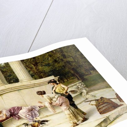 The Cock Fight by Guglielmo Zocchi