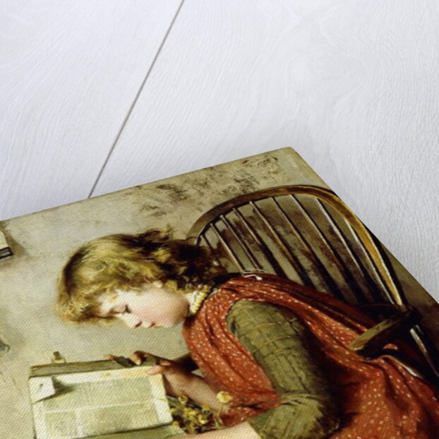 A Young Girl Reading, 1890 by Charlotte Weeks