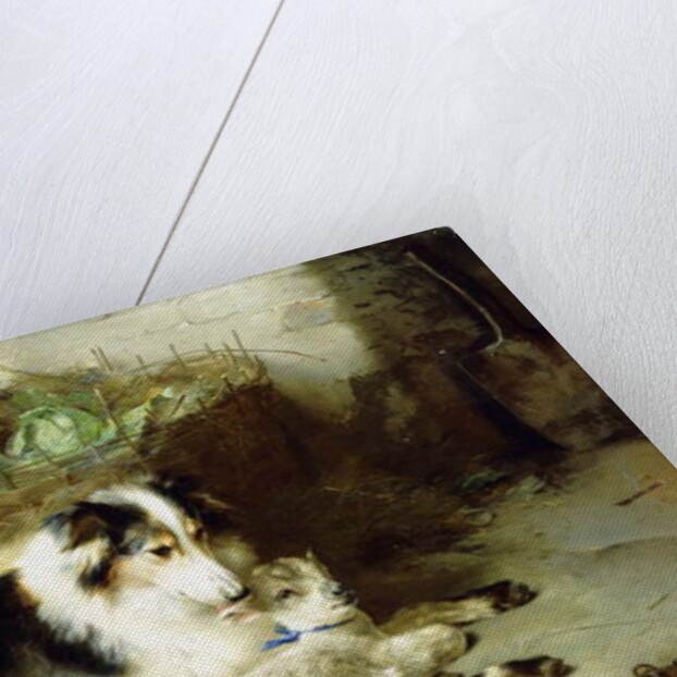 Motherless-The Shepherd's Pet, 1897 by Walter Hunt