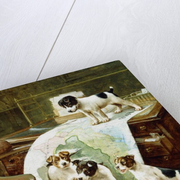 Well Travelled Jack Russell Puppies by John Hayes