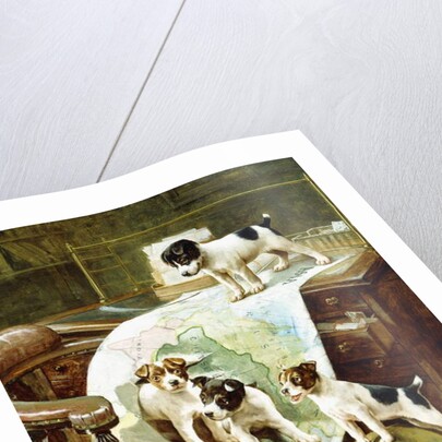 Well Travelled Jack Russell Puppies by John Hayes