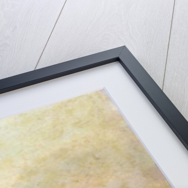 Marine by Gustave Courbet