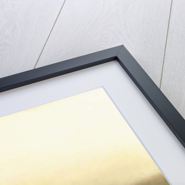 The Water Carrier by Daniel Ridgway Knight