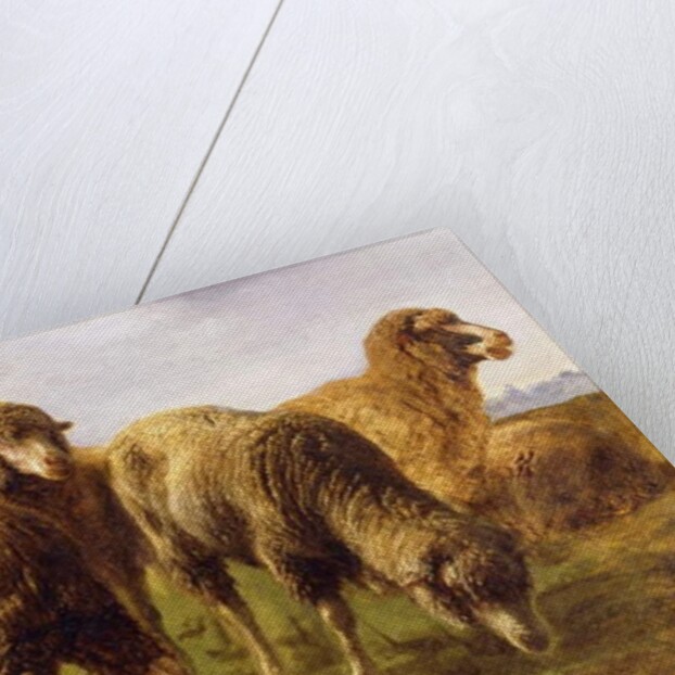 Sheep Grazing in a Meadow by Rosa Bonheur