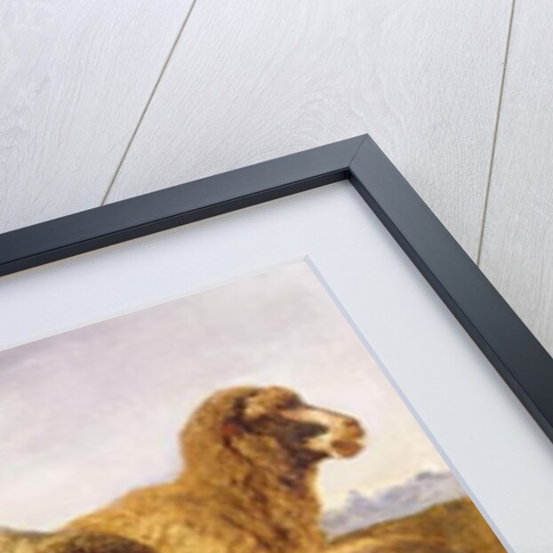 Sheep Grazing in a Meadow by Rosa Bonheur