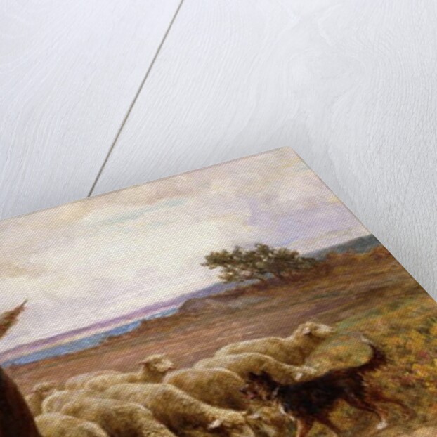 Shepherdess with her Flock, 1907 by Theophile Louis Deyrolle