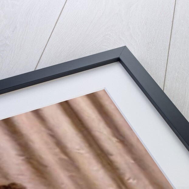 The Debutante by Vittorio Reggianini