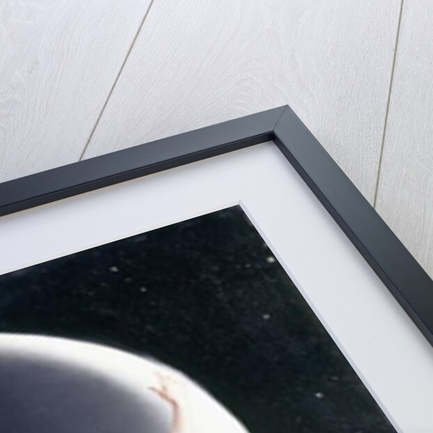 The Moon Nymph, 1883 by Luis Riccardo Falero