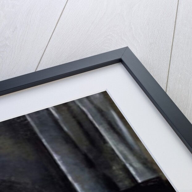 Portrait of Madame Lucien Guitry, 1876 by Louise Abbema