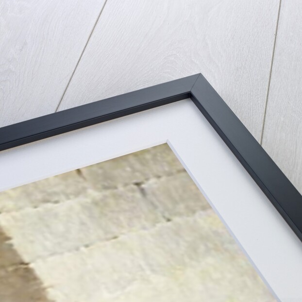 The Hookah by N. Forcella