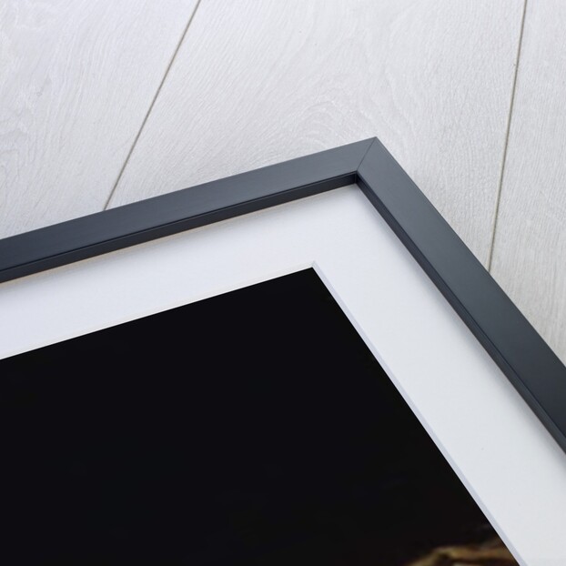 Sweet Slumber by Karl Wilhelm Friedrich Bauerle