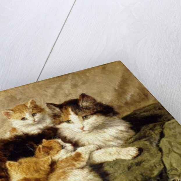 Contentment, 1900 by Henriette Ronner-Knip