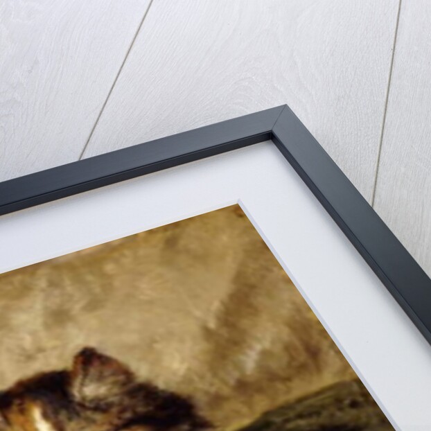 Contentment, 1900 by Henriette Ronner-Knip