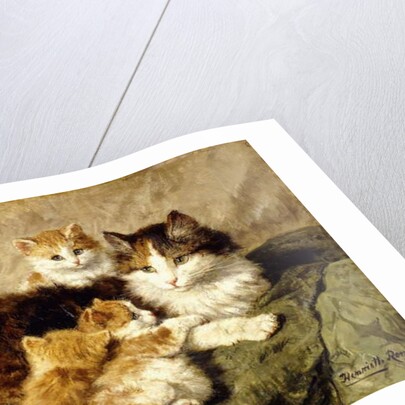 Contentment, 1900 by Henriette Ronner-Knip