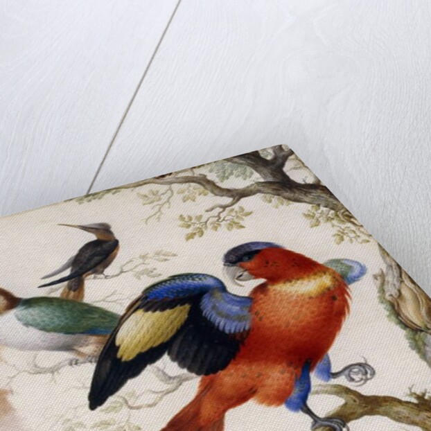 Four Birds in Wood by Herman Henstenburgh