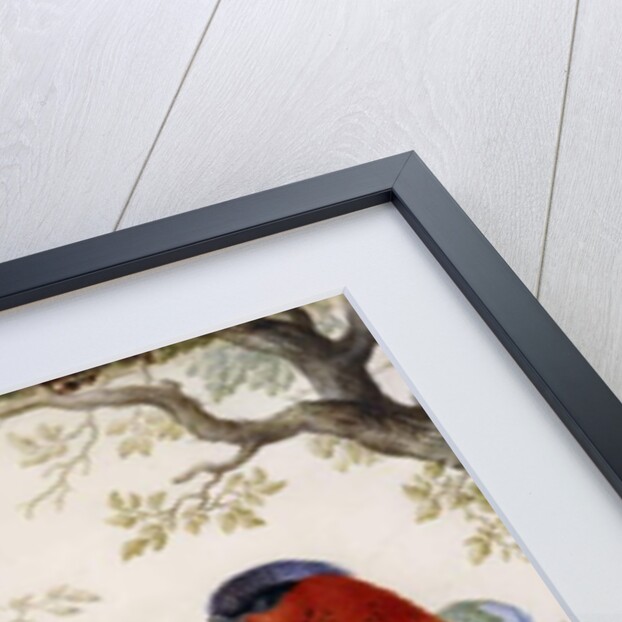 Four Birds in Wood by Herman Henstenburgh