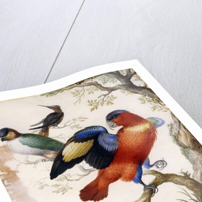 Four Birds in Wood by Herman Henstenburgh