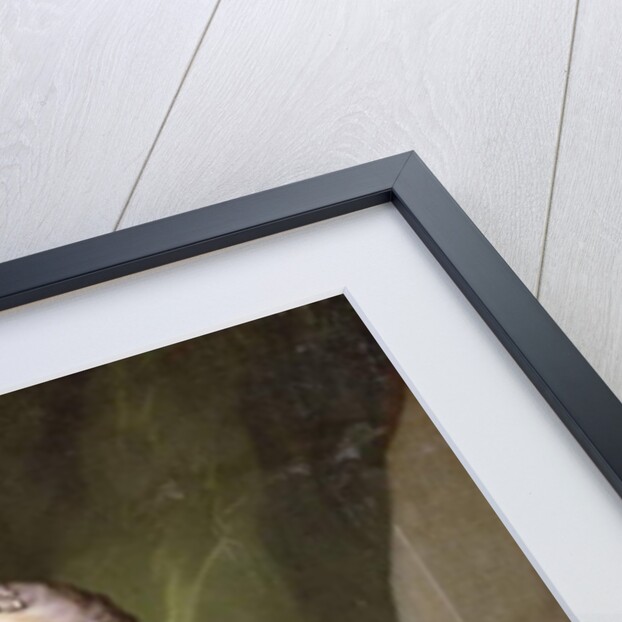 Portrait of Louise Elisabeth de Bourbon, Duchess of Parma by Louis Michel Van Loo