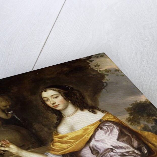 Portrait of a Lady, standing three-quarter length, wearing a Lavender Silk Dress and a Yellow Shawl by Jan Mytens