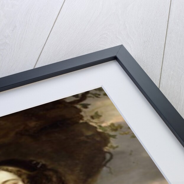 Portrait of a Lady, standing three-quarter length, wearing a Lavender Silk Dress and a Yellow Shawl by Jan Mytens