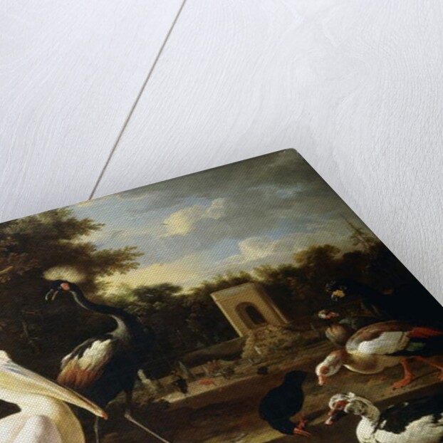 Many Different Types of Birds at a Pool in a Park by Melchior de Hondecoeter