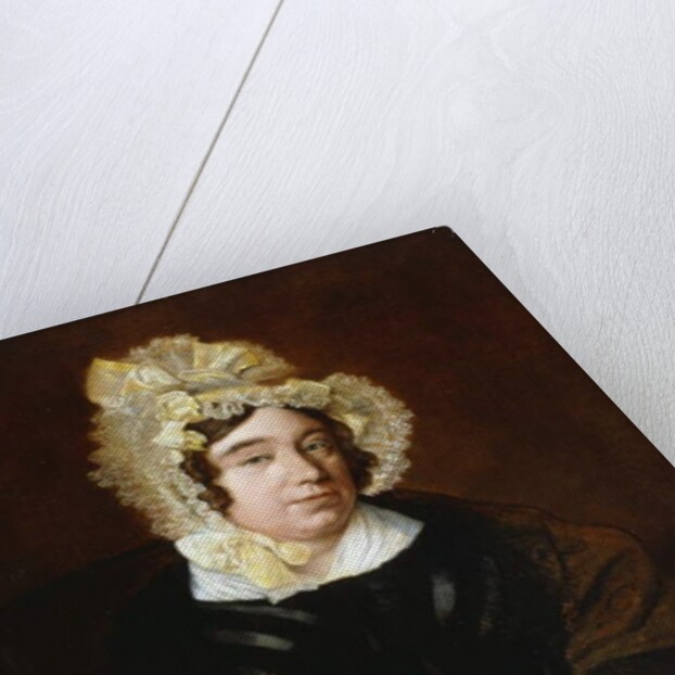 Portrait of Mrs. Edward Cross, seated half-length in a Dark Satin Dress with a Paisley Shawl by Jacques-Laurent Agasse