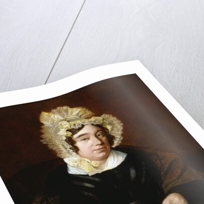 Portrait of Mrs. Edward Cross, seated half-length in a Dark Satin Dress with a Paisley Shawl by Jacques-Laurent Agasse