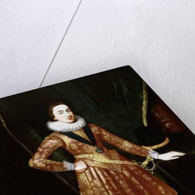 Portrait of King Charles I as the Prince of Wales by Daniel Mytens