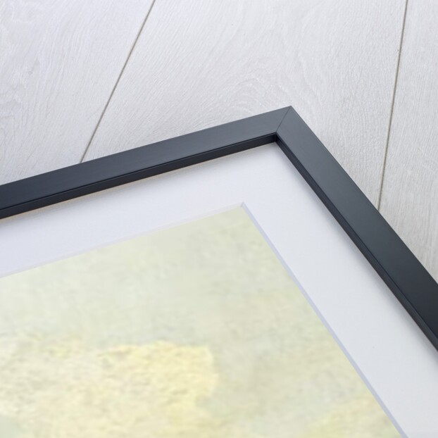 The Molo, Venice by Canaletto