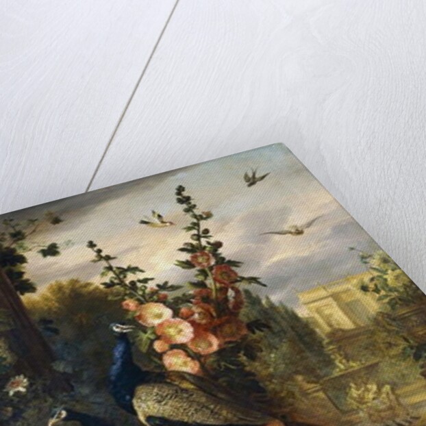 Two Peacocks on a Stone Plinth in a Garden by Jakob Bogdani or Bogdany