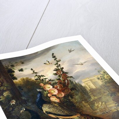 Two Peacocks on a Stone Plinth in a Garden by Jakob Bogdani or Bogdany