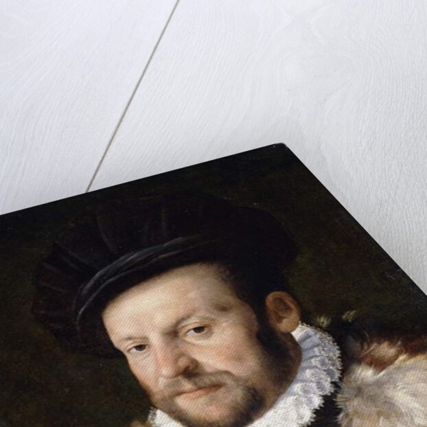 Portrait of a Bearded Gentleman by Italian School