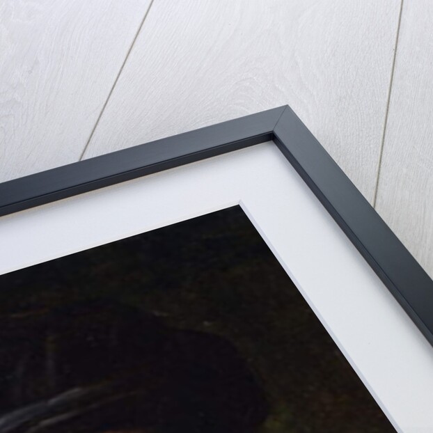 Portrait of a Bearded Gentleman by Italian School