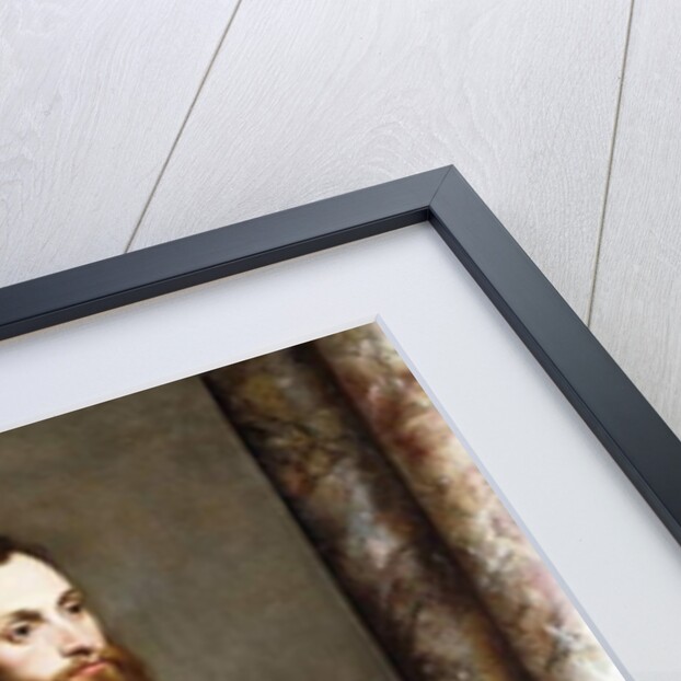 Portrait of a Gentleman, Standing three-quarter length, wearing a black costume and holding a book by Bernardino Campi