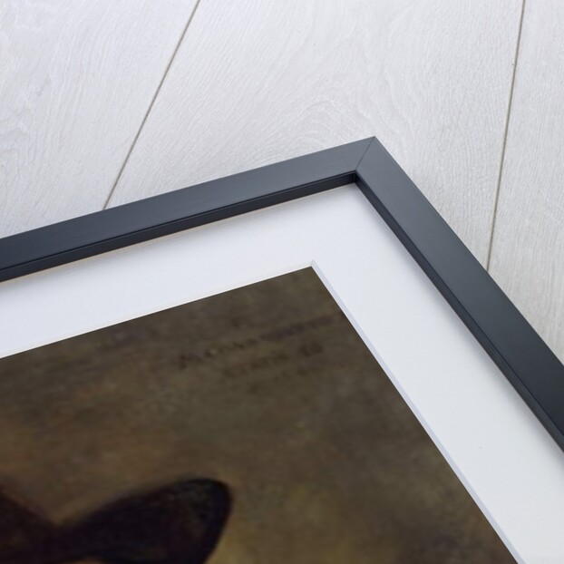 Portrait of Conradus Vietor, aged 56 by Frans Hals