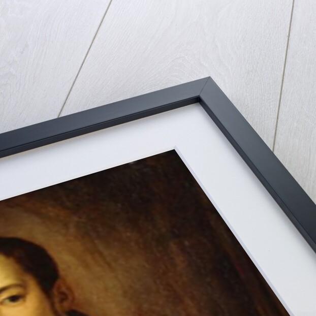 Portrait of Francesco I d'Medici seated half-length, wearing a Doublet with Slashed Sleeves by Alessandro Allori