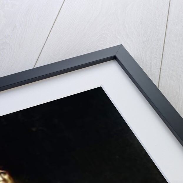 Portrait of John Kemble as Hamlet, standing full-length in a Landscape, wearing a cape and holding a skull by Thomas Lawrence