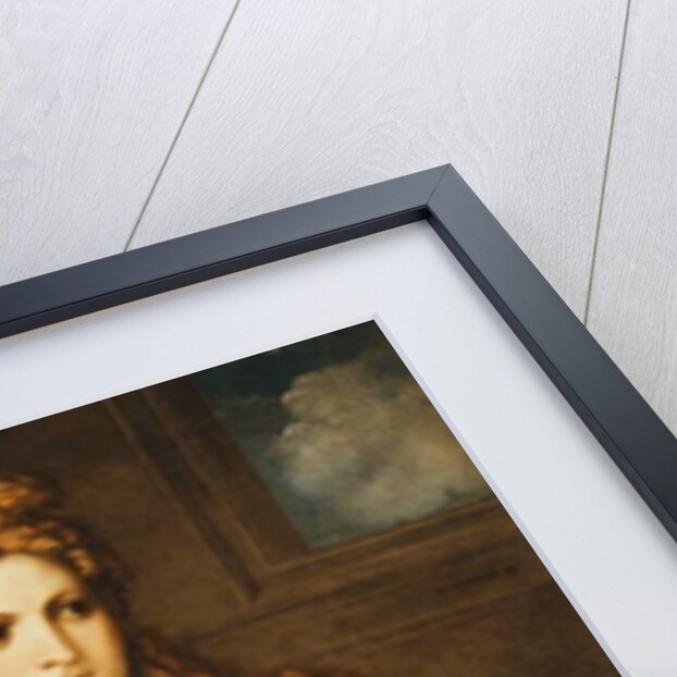 A Courtesan by Paris Bordone