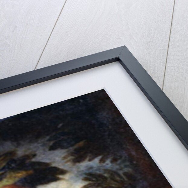 Head of a Sage by Pier Francesco Mola