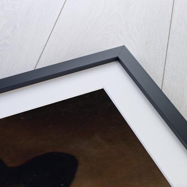 Portrait of a Gentleman by Johannes Cornelisz. Verspronck